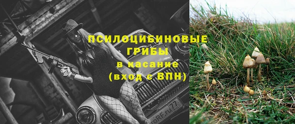 гидропоника Белоозёрский
