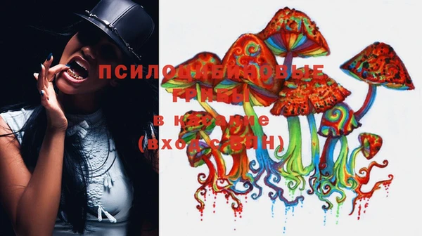 гидропоника Белоозёрский