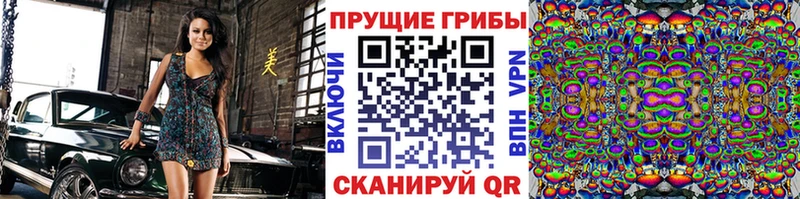 Псилоцибиновые грибы GOLDEN TEACHER  Вольск 